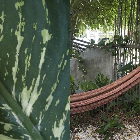 Wabi Sabi Garden Guesthouse By Amara Concepts. Tulum Exterior foto